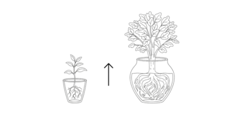 Plant hoogte meten