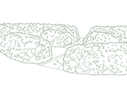 Gartenratgeber