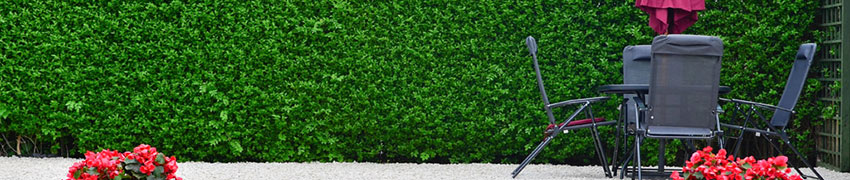 Séparation de jardin Séparation de jardin