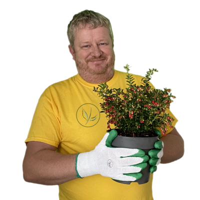 Frank de notre équipe