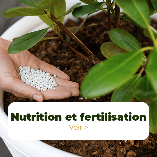 Nutrition et fertilisation